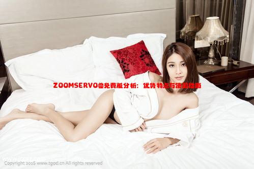 ZOOMSERVO兽免费版分析：优势特点与使用指南